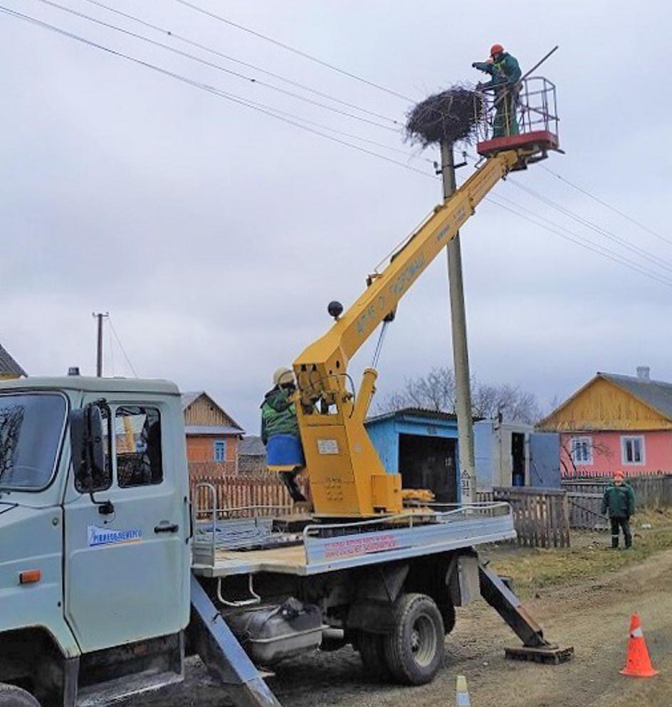 Так енергетики рятують лелечі гнізда